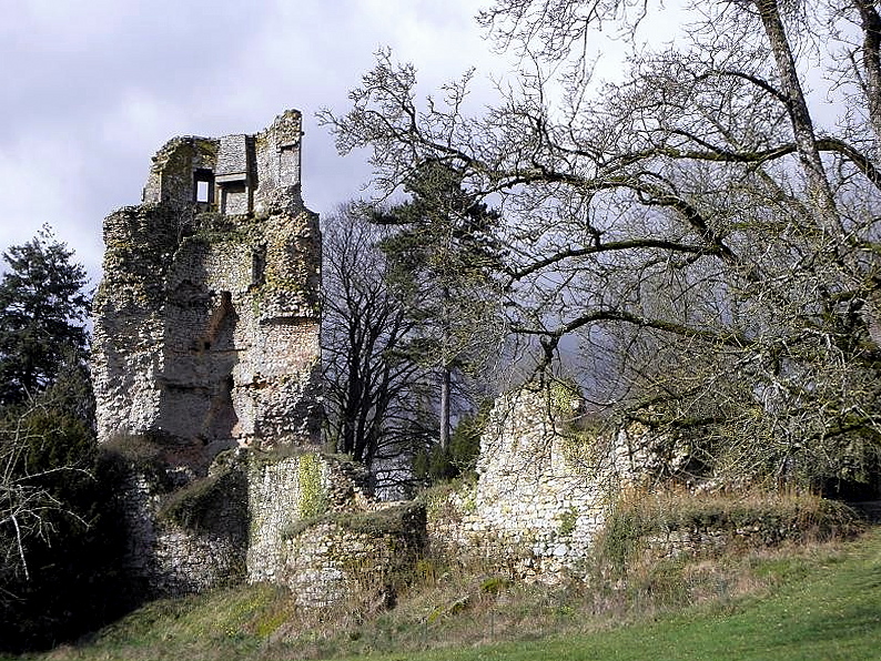 les ruines d'un château en pierres, entourées d'arbres